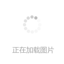 佳宝九制陈皮干组合装老陈皮丝橙皮橘子皮橘皮陈皮茶广东特产零食